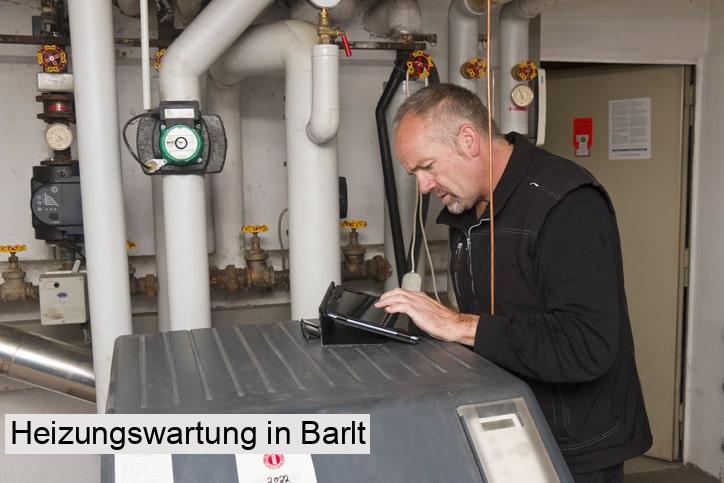 Heizungswartung in Barlt