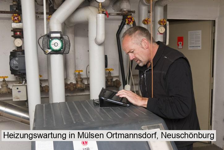 Heizungswartung in Mülsen Ortmannsdorf, Neuschönburg