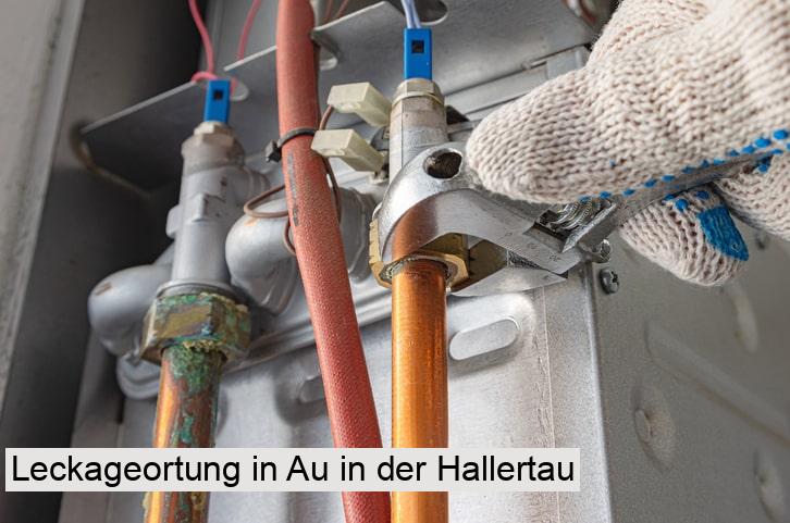 Leckageortung in Au in der Hallertau