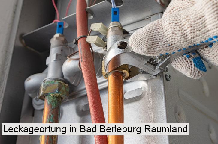Leckageortung in Bad Berleburg Raumland