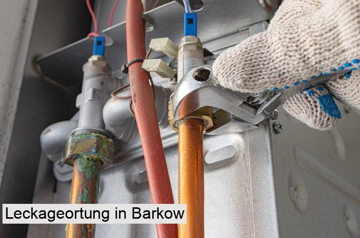 Leckageortung in Barkow