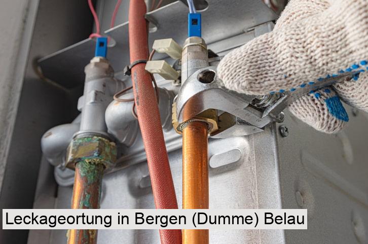 Leckageortung in Bergen (Dumme) Belau