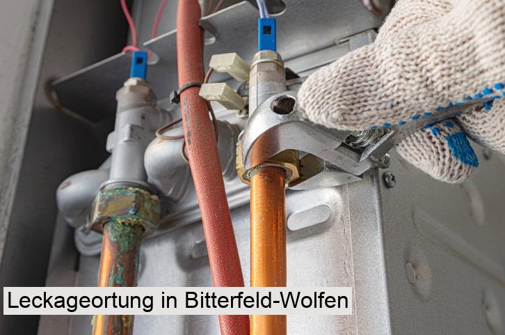 Leckageortung in Bitterfeld-Wolfen
