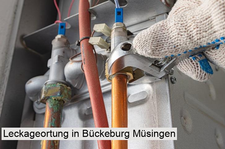 Leckageortung in Bückeburg Müsingen