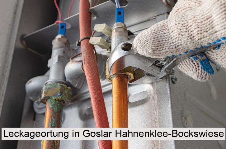 Leckageortung in Goslar Hahnenklee-Bockswiese