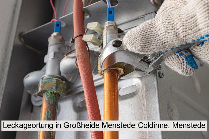 Leckageortung in Großheide Menstede-Coldinne, Menstede