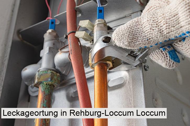 Leckageortung in Rehburg-Loccum Loccum