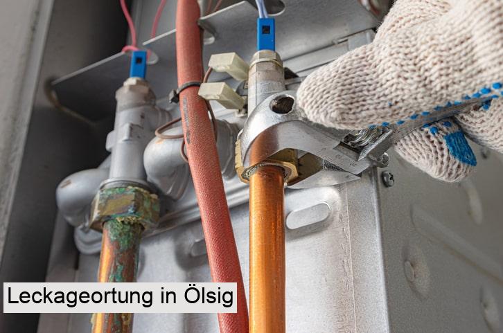 Leckageortung in Ölsig